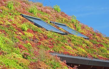 Hopton On Sea living roof systems